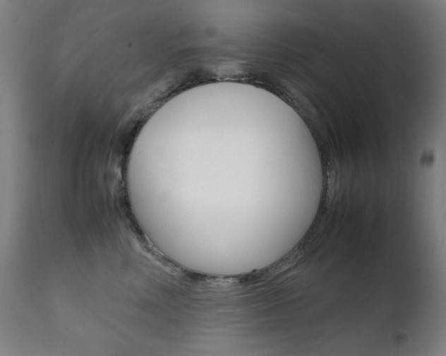 X0000112090618200908041049