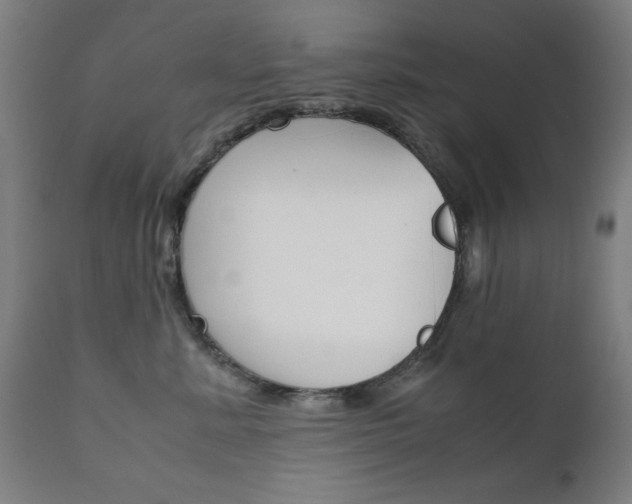 X0000112090619200908041049