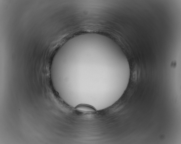 X0000112090620200908041049