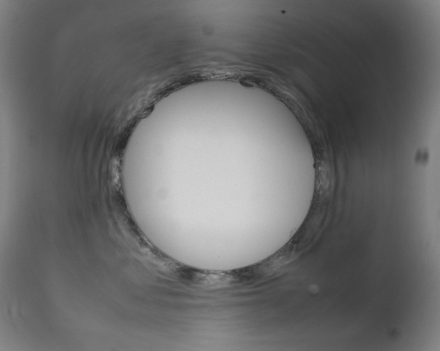 X0000112090621200908041049