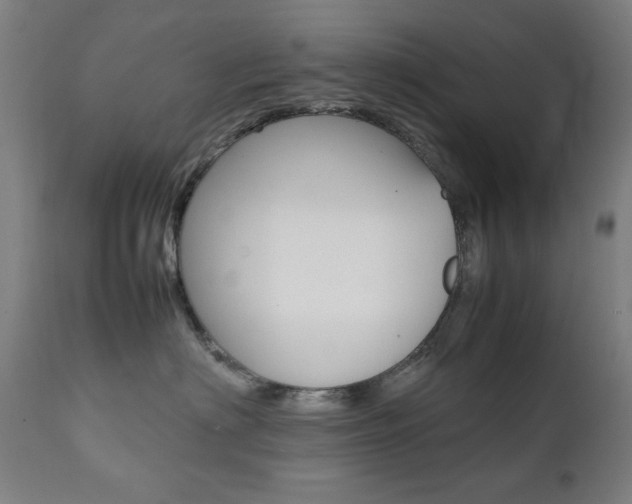 X0000112090622200908041049