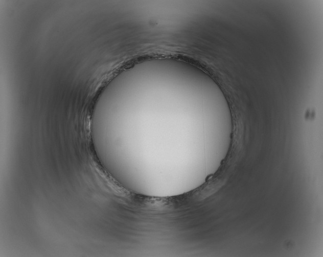 X0000112090624200908041049