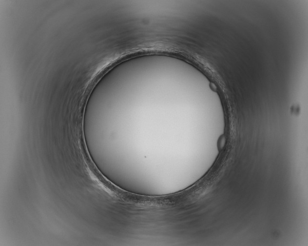 X0000112090625200908041048