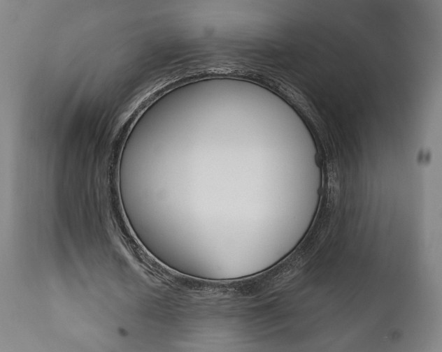 X0000112090626200908041049