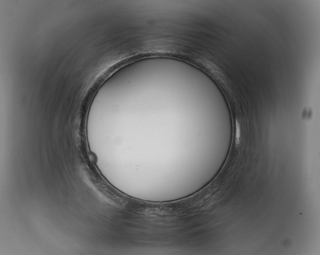 X0000112090627200908041049