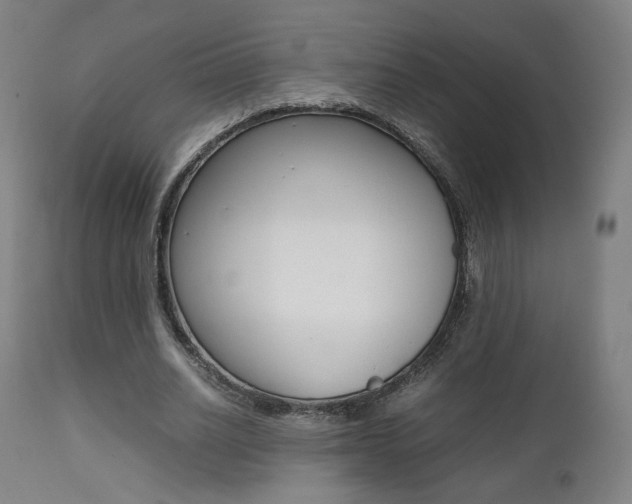 X0000112090630200908041049