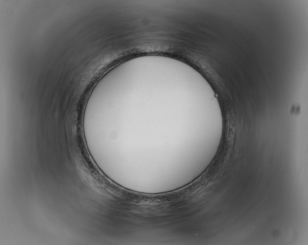 X0000112090631200908041049