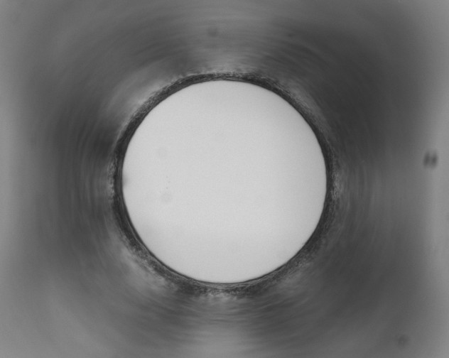 X0000112090632200908041049