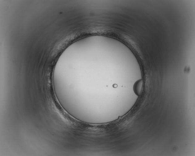 X0000112090633200908041049