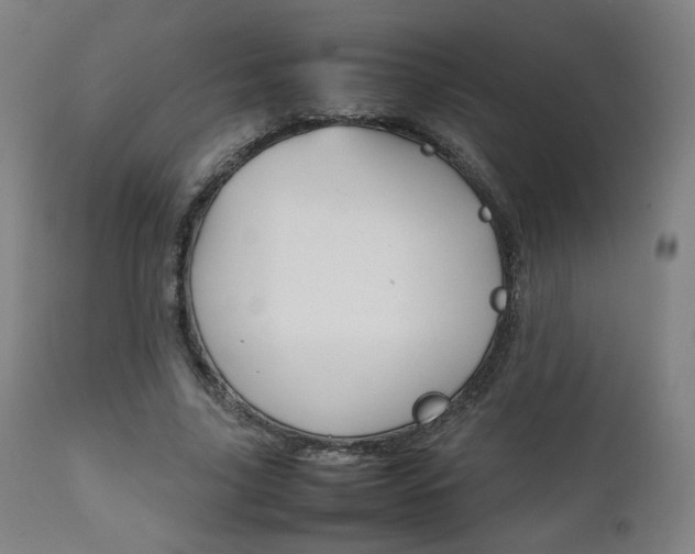 X0000112090635200908041049