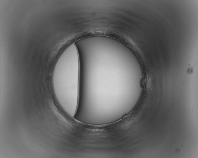 X0000112090637200908041049