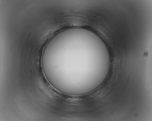 X0000112090639200908041049