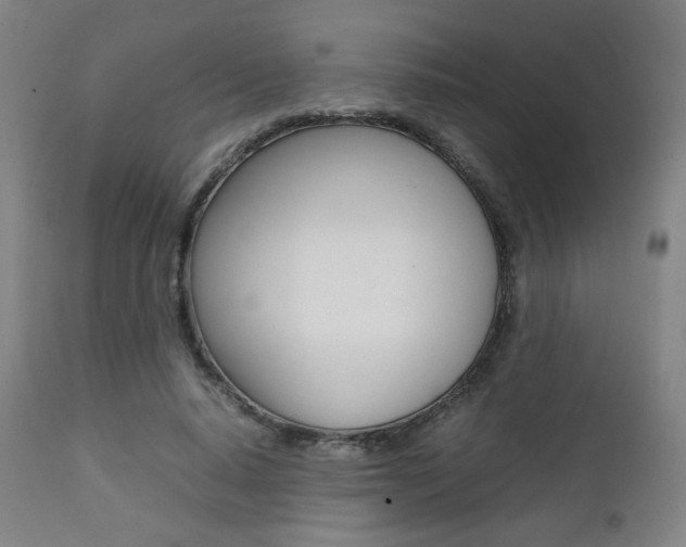 X0000112090640200908041049