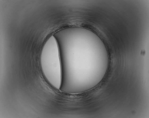 X0000112090641200908041049