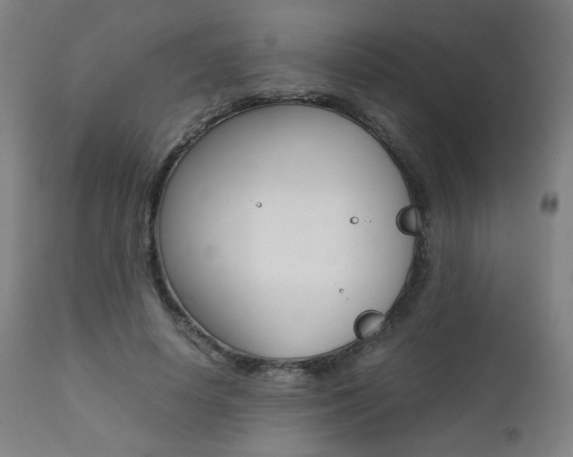 X0000112090642200908041049
