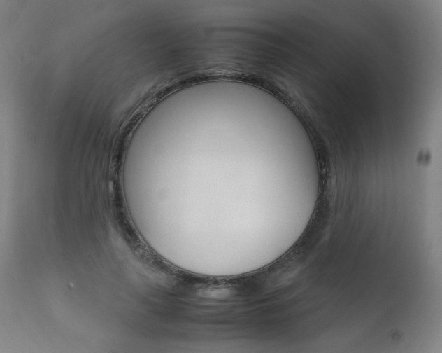 X0000112090643200908041049