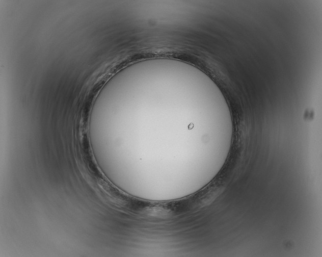 X0000112090644200908041049