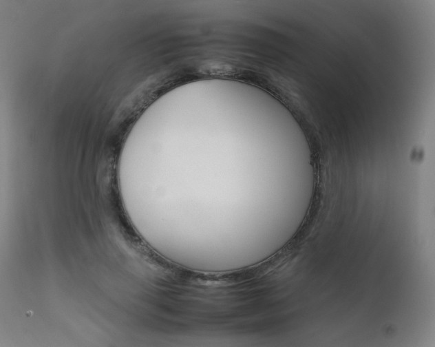 X0000112090645200908041049