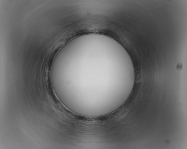 X0000112090646200908041049
