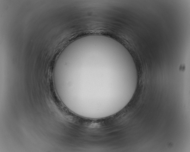 X0000112090647200908041049
