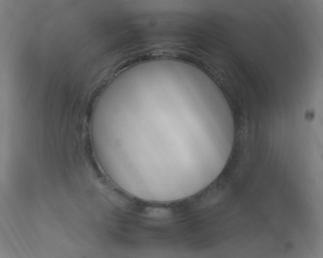 X0000112090649200908041049
