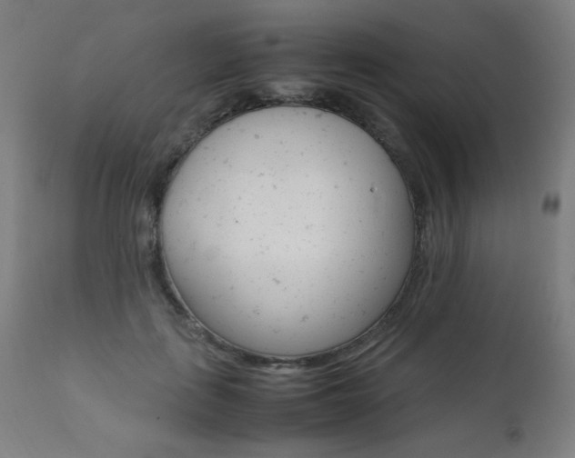 X0000112090651200908041049