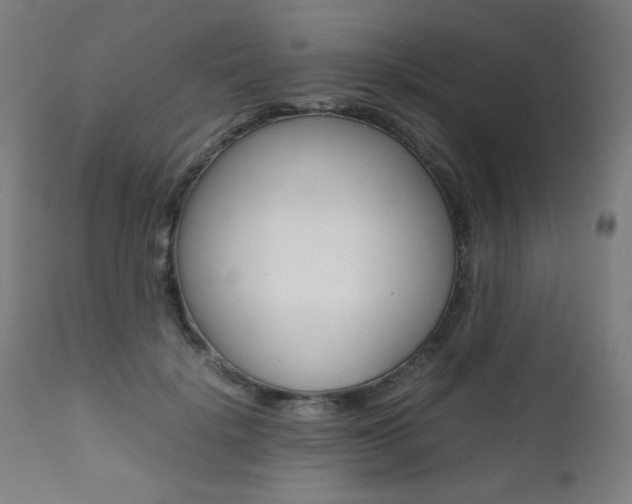 X0000112090652200908041049