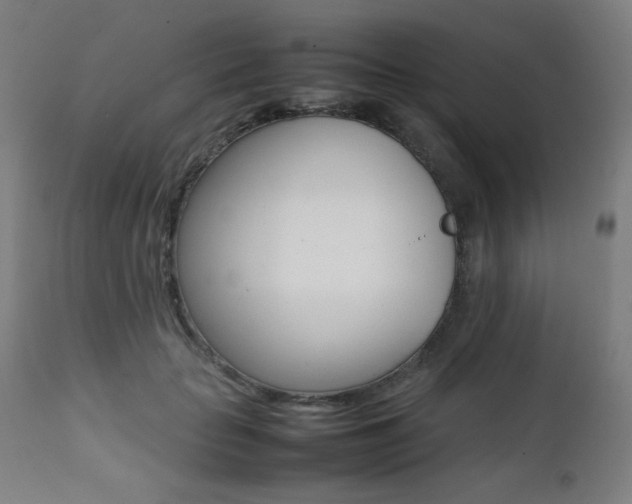 X0000112090653200908041049