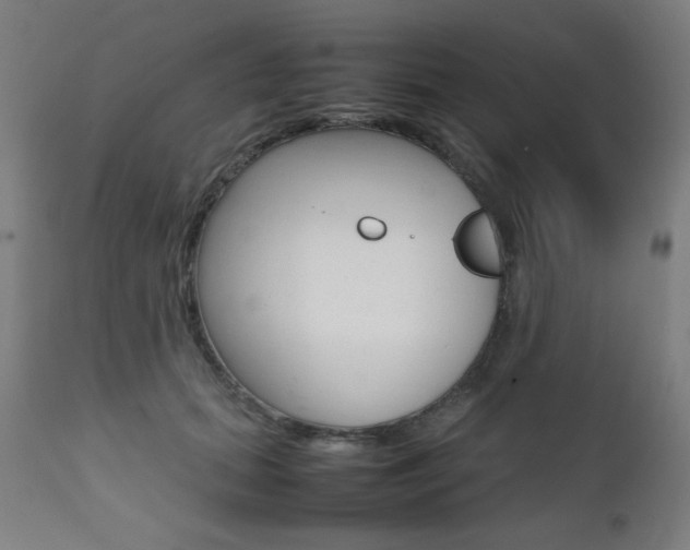 X0000112090655200908041049
