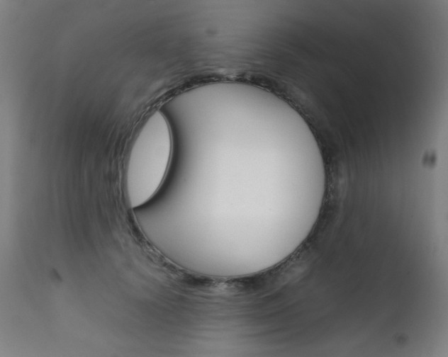 X0000112090656200908041049
