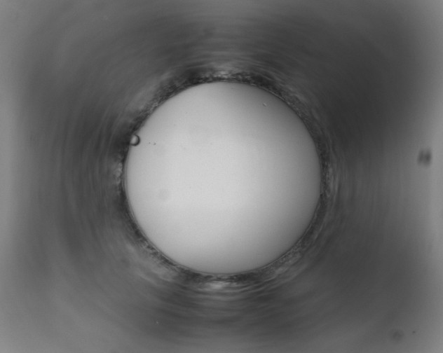 X0000112090657200908041049