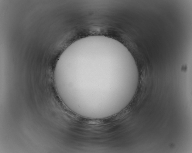 X0000112090659200908041049