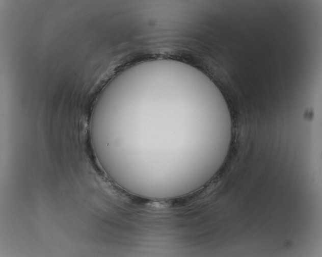 X0000112090660200908041049