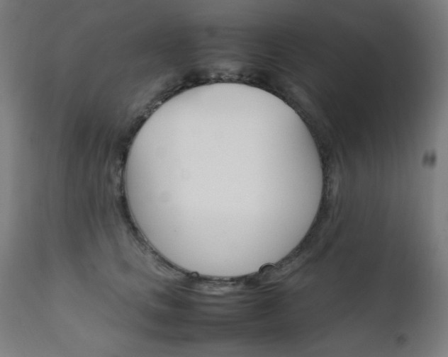 X0000112090661200908041049