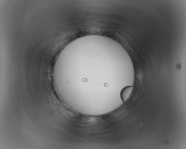 X0000112090663200908041049