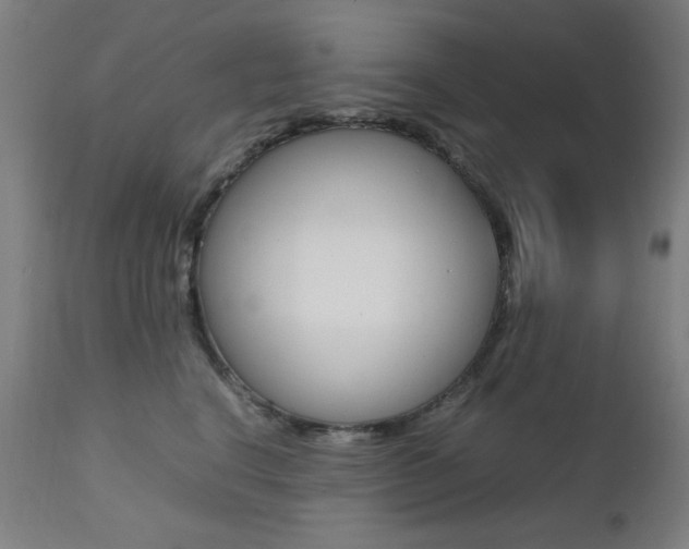 X0000112090664200908041049