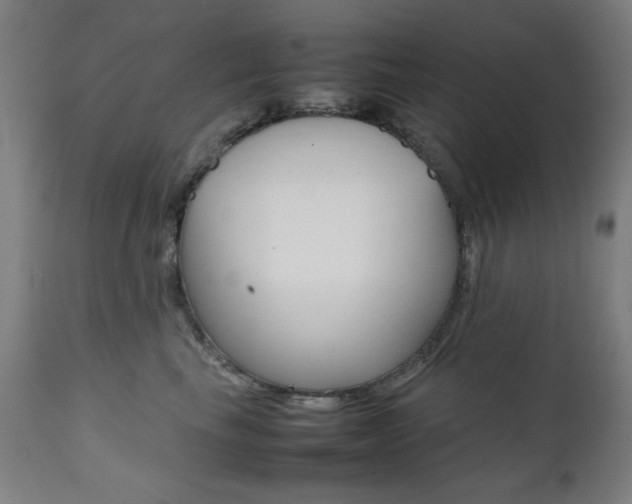 X0000112090665200908041049