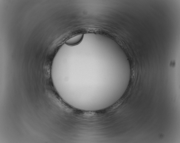 X0000112090666200908041049