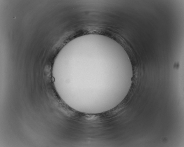 X0000112090667200908041049