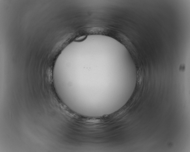 X0000112090669200908041049