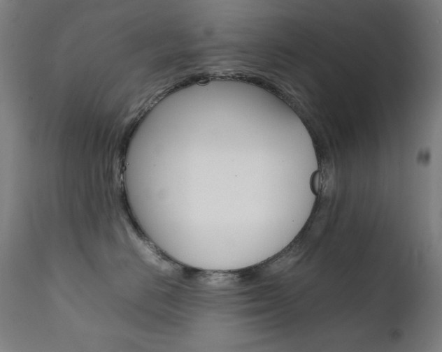 X0000112090670200908041049