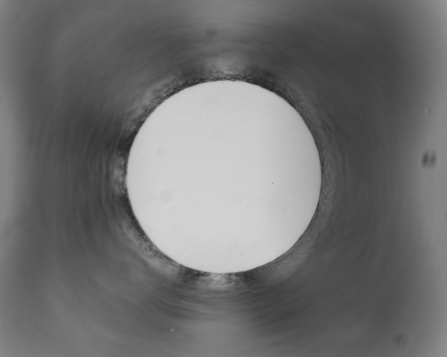 X0000112090672200908041049