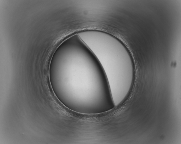 X0000112090673200908041048