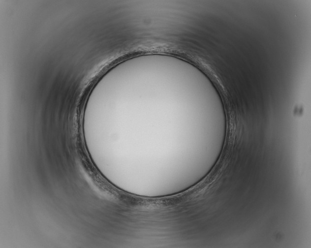 X0000112090674200908041048