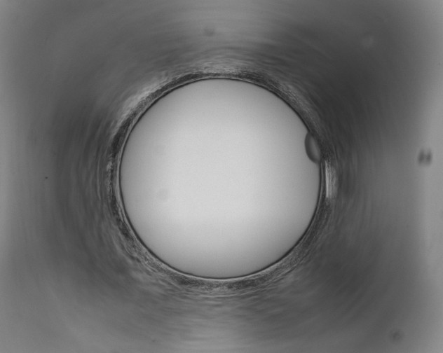 X0000112090675200908041048