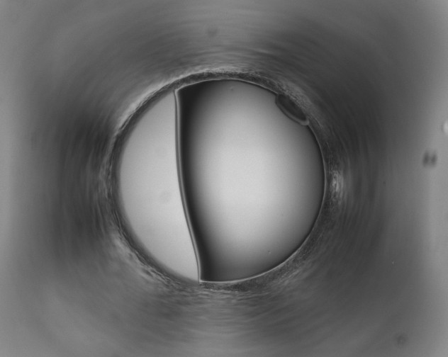 X0000112090676200908041048