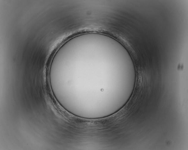 X0000112090678200908041048