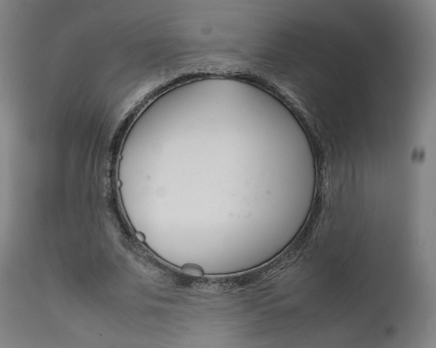 X0000112090679200908041048