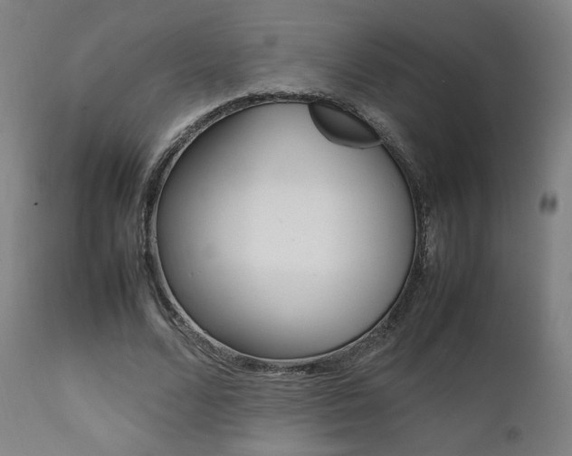 X0000112090680200908041048