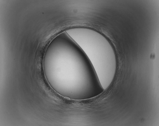 X0000112090681200908041048